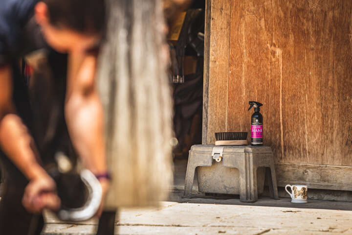 CARR & DAY & MARTIN Canter Mane & Tail Conditioner Spray